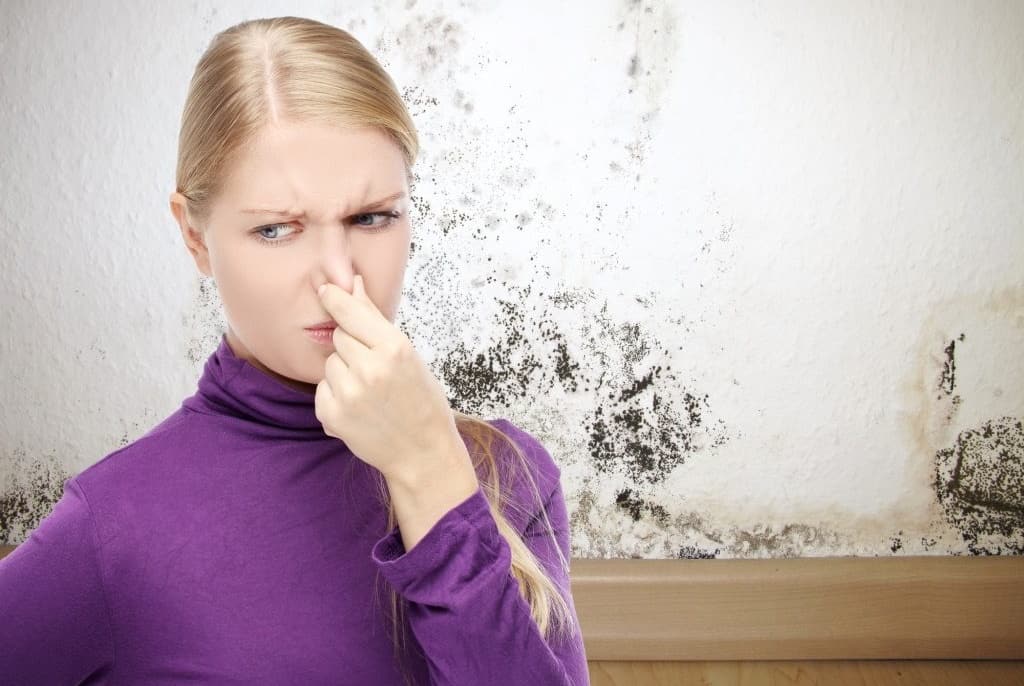 how-to-get-rid-of-that-musty-smell-direct-ac